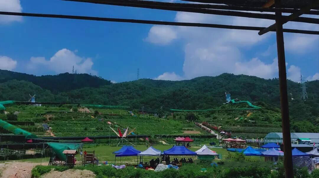 olks 2.jpg olks 2.jpg